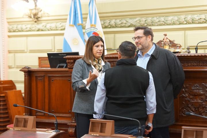 Clara García supervisó las tareas de adecuación realizadas en la Cámara Baja para albergar a la Convenión Constituyente