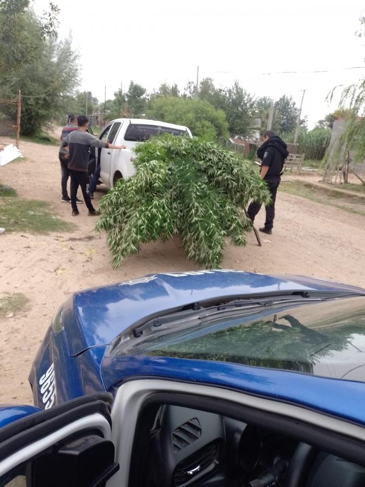 Barrio Los Hornos: se realizaron allanamientos a cinco viviendas en busca de dos personas 