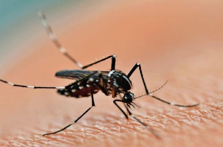 Se registró el primer fallecido por dengue en la provincia 
