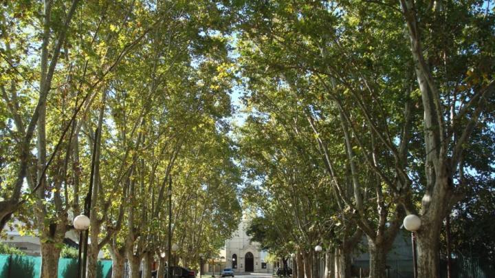 Santa Fe Capacita: se dictará un curso en el Vivero Provincial de Santa Fe
