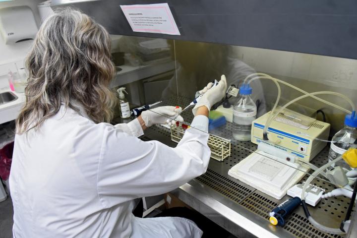 La Encefalitis Equina del Oeste se podrá detectar en laboratorios públicos de la Provincia