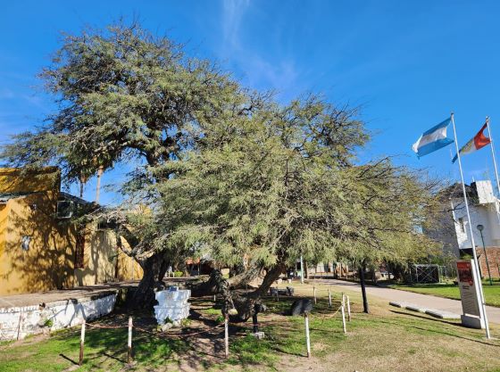 Se llevará a cabo una recreación del paso de Belgrano por Santo Tomé